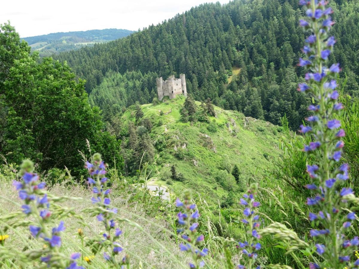 Hotel Des Rochers Marvejols Exteriér fotografie